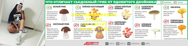 тгк Ижевск