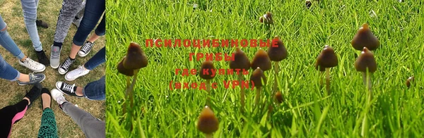 хмурый Кодинск
