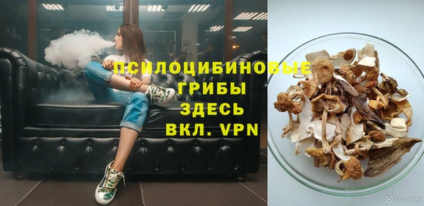 хмурый Кодинск