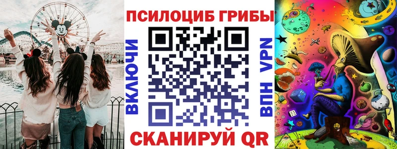 Псилоцибиновые грибы мухоморы  MEGA tor  darknet клад  как найти наркотики  Чадан 